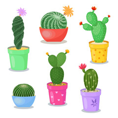 Set of cacti in pots in flat style. Illustration of home plants with spines and flowers.