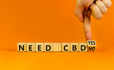 Need CBD, cannabidiol symbol. Doctor turns a cube and changes words 'need CBD no' to 'need CBD yes'. Beautiful orange background, copy space. Medical and need CBD cannabidiol concept.