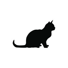 Cat icon vector. pet illustration sign. tomcat symbol. animal logo.