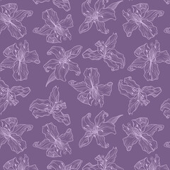 Hand drawn dark lilac lily. Line doodling art. Seamless pattern