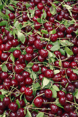 organic cherries in the market
