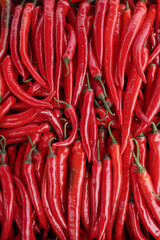 Harvest of red hot chili peppers. Background, texture or wallpaper.
