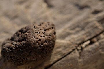 close up of a rock on log