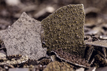 Manganese samples, flaked pure manganese metal used in industry, isolated white background.