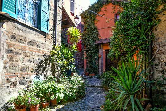 A narrow street in Nemi, a medieval town overlooking a lake in the province of Rome, Italy.