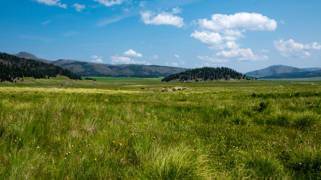 Sweeping remote grasslands of the Valles Caldera New Mexico