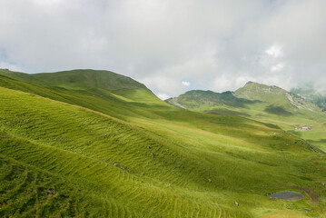 Fototapeta premium Scenic green valley view in the swiss alps near Klingenstock and Fronalpstock