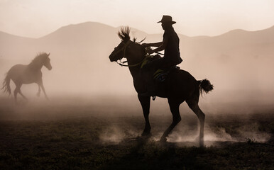 silhouette of a  cowboy on a horse