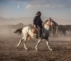 cowboy riding horse