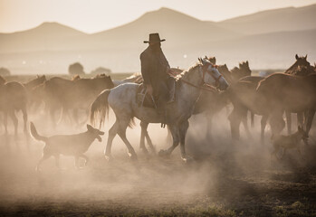 cowboy riding horse