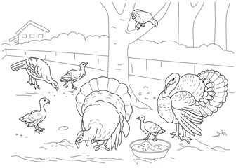 The turkey coloring book. Farm.
