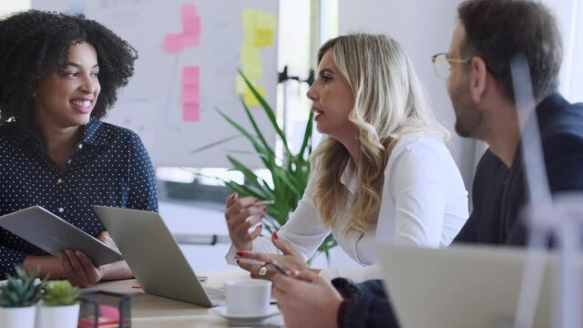 Video of multiage business people working with laptops while talking of they new project together in modern startup.