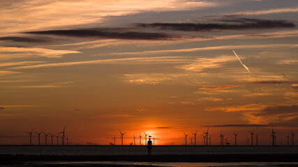 Silhouette of a sea gull on an Iron Man - 458609602