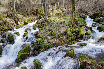 Beautiful, colorful mountain creek cascading through the thick forest on Old mountain