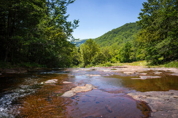 Beautiful, colorful mountain creek flowing through the thick forest on Old mountain