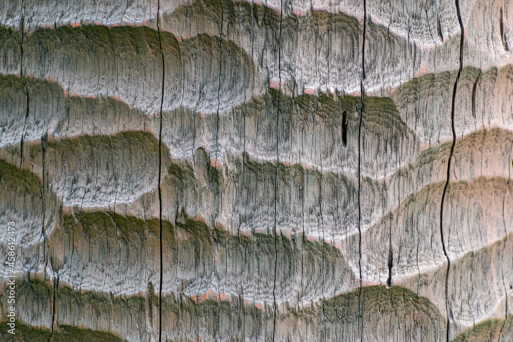 Poster wooden surface with chisel grooves, chisel wood texture pattern