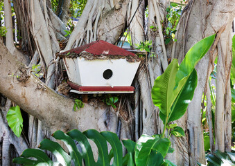 bird house