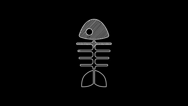 White line Fish skeleton icon isolated on black background. Fish bone sign. 4K Video motion graphic animation