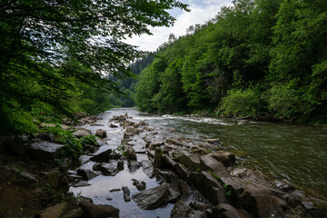 Green river bank (Bieszczady Mountains PL)