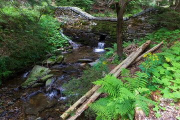 Clean Landscape in mountains Hruby Jesenik in the northeastern Bohemia, Czech Republic