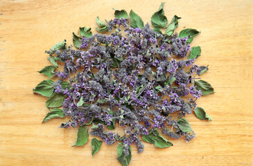 Dried lemon balm, leaves and flowers