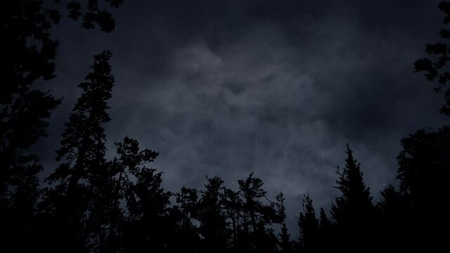 Dark tree forest silhouettes on the front. Mystery Moonshine. Dark blue night, evening sky, moving fog and clouds. Halloween mood. 3D render. Aerial landscape. Seamless loop 4K animation