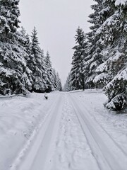 snow covered road