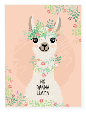 Portrait of a cute llama. Card No drama llama.