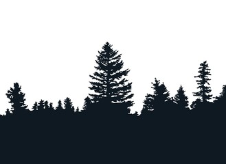 Obraz premium Background with evergreen forest silhouettes