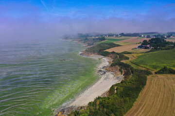 aerial view on the green algae of the nature reserve of the bay of saint brieuc