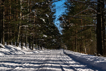 Snow-covered road in the winter coniferous forest. Winter landscape. Extreme driving, 4x4.