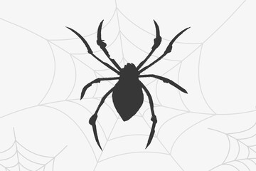 Halloween Spider vector
