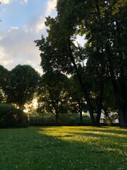 sunset in the park