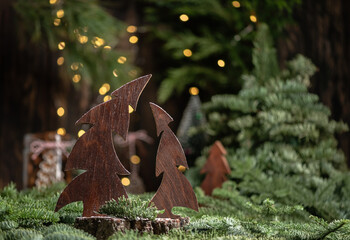 Christmas background with young christmas tree