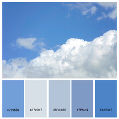 Designer Color Palette inspired by natural skyscape. Design pack with photograph and swatches with hex codes references. - obrazy, fototapety, plakaty