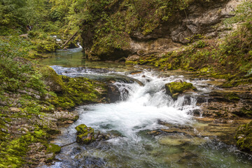 Torrente