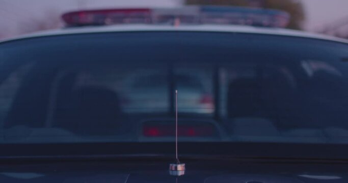 Man In Hand Cuffs Put into Cop Car, Arrest By Two Police Officers, Cops, Under Arrest. Hands Behind Back, Rough