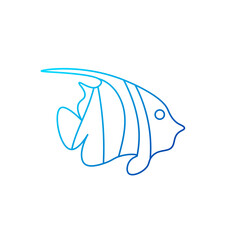 Zebra angelfish outline icon. Marine life. Maldives diving. Blue gradient symbol. Isolated vector illustration