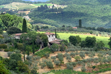 Fototapeta na wymiar Liebliche Landschaft des Chianti bei Panzano