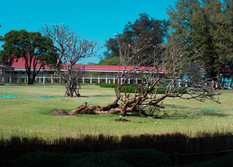 playground in the park