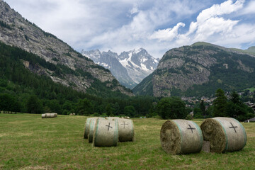 Obraz premium Hay bales on a field with snow capped Alpine mountains in the distance