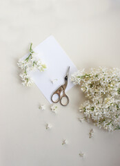 Beauty background. Flowers, pen and note. Morning time. Flat lay concept.