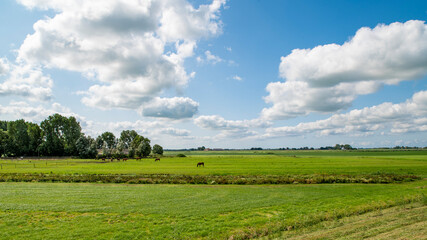 Dutch landscape with green fields, blue sky and scattered clouds.