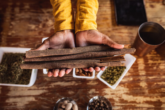 Close Up View Of Hands Holding Cinnamon Sticks At Gin Distillery