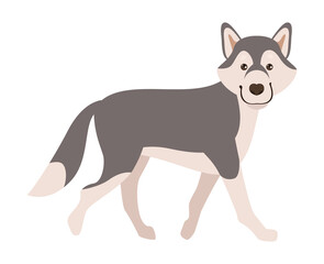 siberian husky pet character