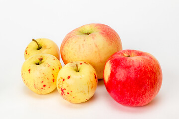 red and yellow apples on a white background