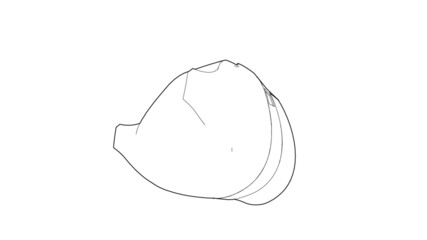 Armored Helmet Illustration