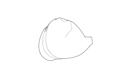 Armored Helmet Illustration