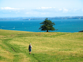 A tourist trekking on Motutapu, Hauraki Gulf, New Zealand.