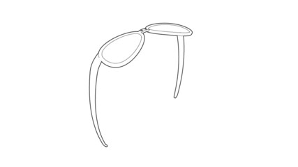 Glasses Illustration